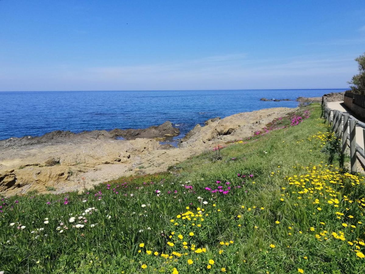 Casa Platja D'En Robert Villa El Port De La Selva Eksteriør billede