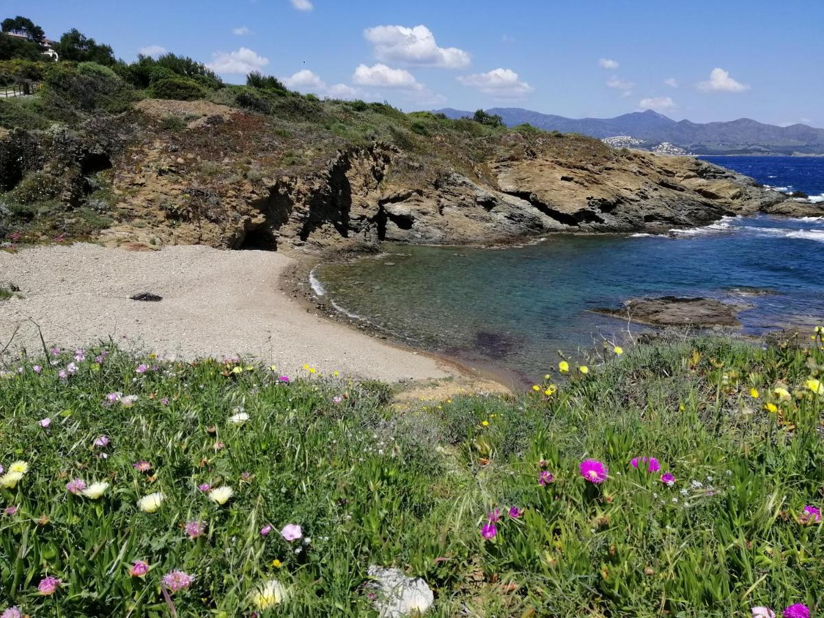 Casa Platja D'En Robert Villa El Port De La Selva Eksteriør billede